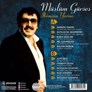 Müslüm Gürses İkimizin Yerine - Plak