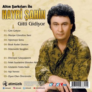 Hayri Şahin Gitti Gidiyor - Plak
