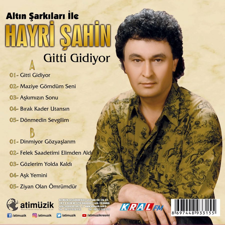 Hayri Şahin Gitti Gidiyor - Plak