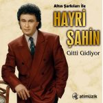 Hayri Şahin Gitti Gidiyor - Plak