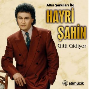 Hayri Şahin Gitti Gidiyor - Plak