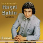 Hayri Şahin Acı Izdırap - Plak