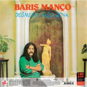 Barış Manço Değmesin Yağlı Boya - Plak