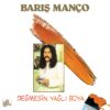 Barış Manço Değmesin Yağlı Boya - Plak