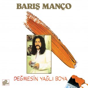 Barış Manço Değmesin Yağlı Boya - Plak