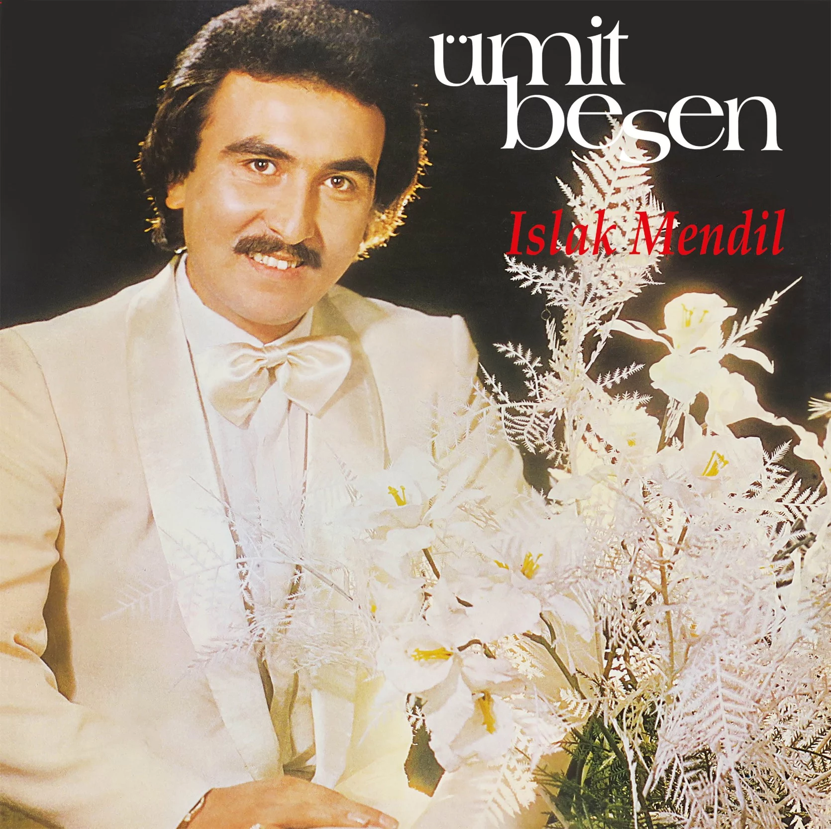 Ümit Besen Islak Mendil - Plak Ümit Besen Islak Mendil - Plak