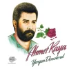 Ahmet Kaya Yorgun Demokrat - Plak