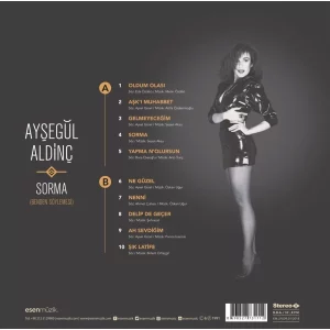 Ayşegül Aldinç Sorma / Benden Söylemesi - Plak
