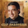 Edip Akbayram Şahdamar - Plak