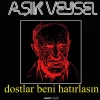 Aşık Veysel Dostlar Beni Hatırlasın - Plak
