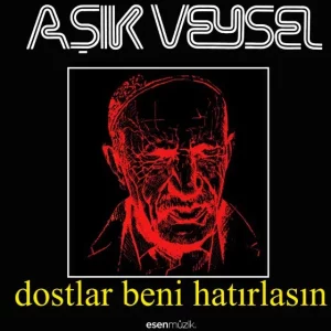Aşık Veysel Dostlar Beni Hatırlasın - Plak