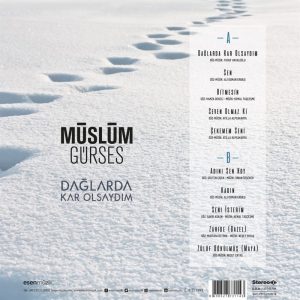 Müslüm Gürses Dağlarda Kar Olsaydım - Plak