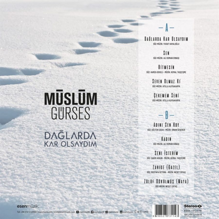 Müslüm Gürses Dağlarda Kar Olsaydım - Plak