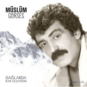 Müslüm Gürses Dağlarda Kar Olsaydım - Plak