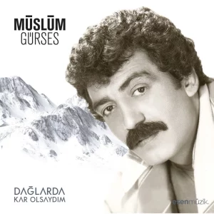 Müslüm Gürses Dağlarda Kar Olsaydım - Plak