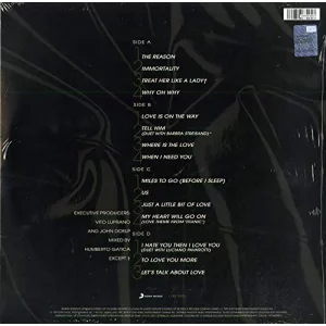 Celine Dion Let's Talk About Love - Plak
