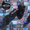 Pink Floyd The Best Of Pink Floyd A Foot In The Door - Plak