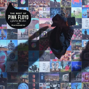 Pink Floyd The Best Of Pink Floyd A Foot In The Door - Plak