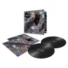 Pink Floyd The Best Of Pink Floyd A Foot In The Door - Plak