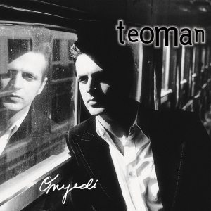 Teoman 17 - Plak
