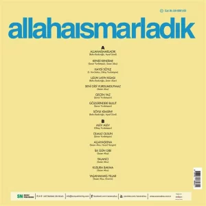 Sezen Aksu Allahaısmarladık - Plak