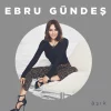 Ebru Gündeş Aşık - Plak