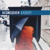 Kesmeşeker Kadıköy - Plak
