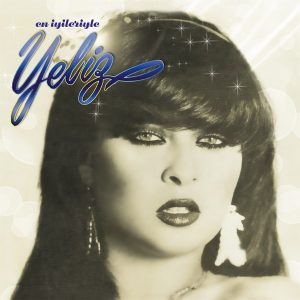Yeliz En İyileriyle - Plak