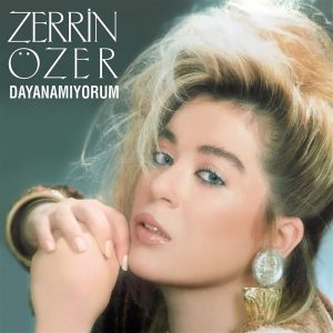 Zerrin Özer Dayanamıyorum - Plak
