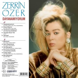 Zerrin Özer Dayanamıyorum - Plak