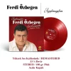 Ferdi Özbeğen Ayrılmayalım - Plak - Görsel 3