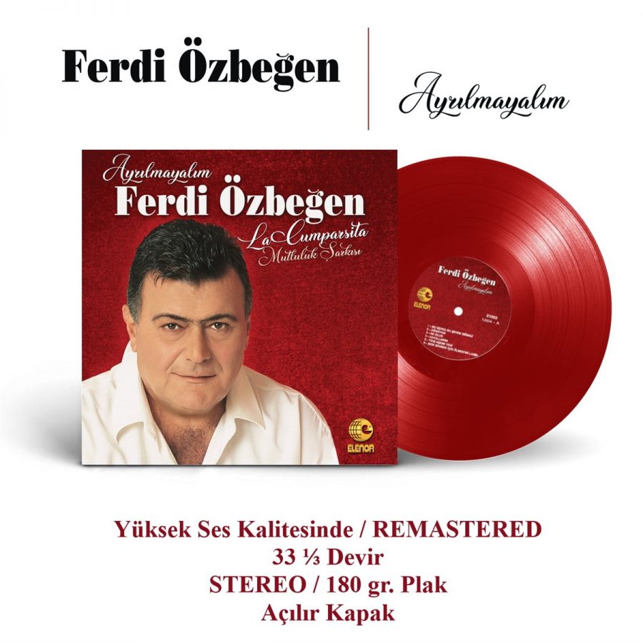 Ferdi Özbeğen Ayrılmayalım - Plak - Görsel 3