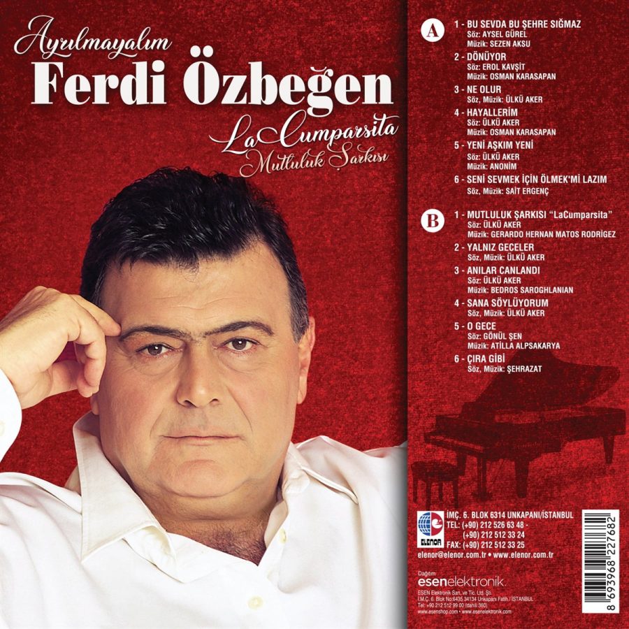 Ferdi Özbeğen Ayrılmayalım - Plak - Görsel 2