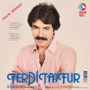 Ferdi Tayfur İnsan Sevince - Plak