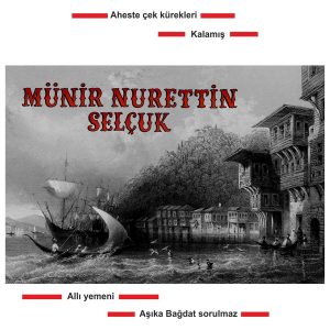 Münir Nurettin Selçuk - Plak