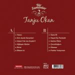 Tanju Okan Bir Zamanlar - Plak - Görsel 2