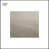 Ludovico Einaudi Le Onde - Plak