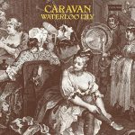 Caravan Waterloo Lily - Plak