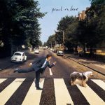 Paul McCartney Paul is Live - Plak