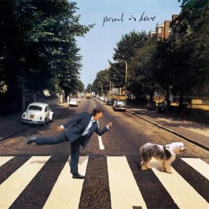 Paul McCartney Paul is Live - Plak