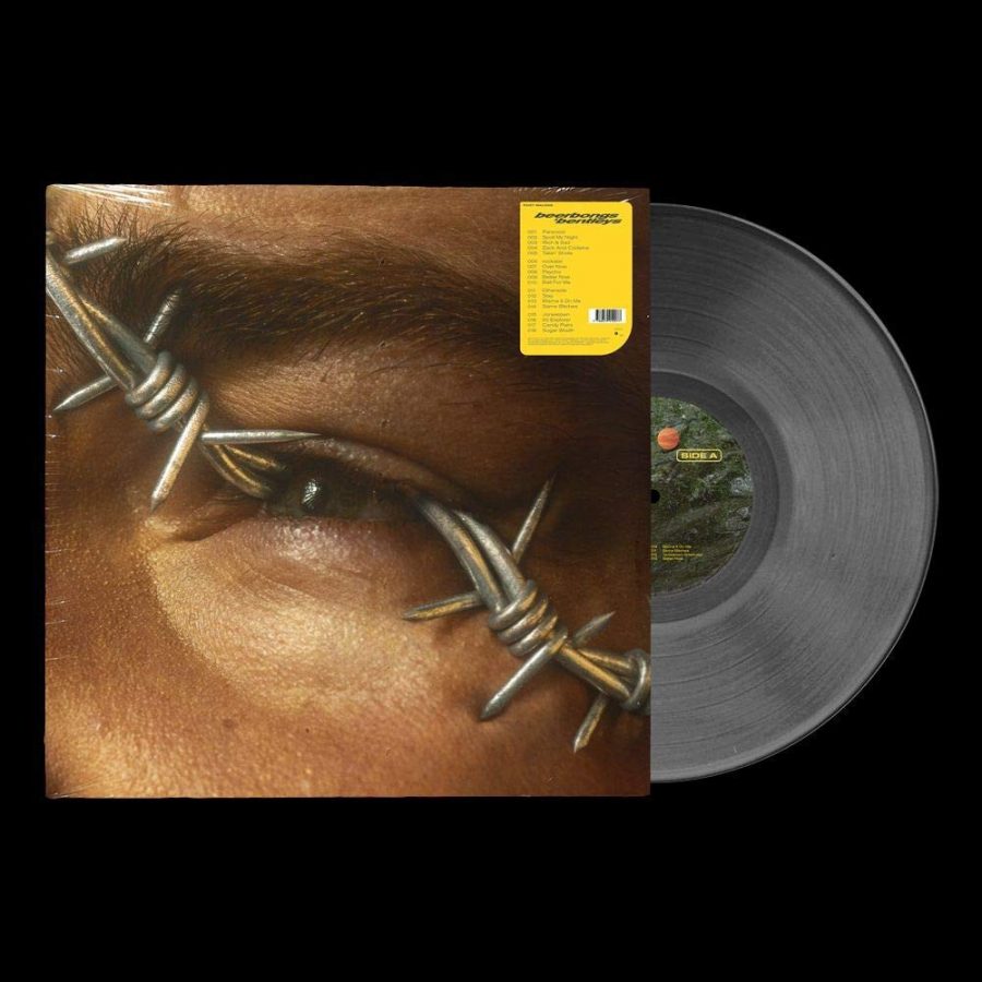Post Malone Beerbongs & Bentleys - Plak - Görsel 2