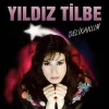 Yıldız Tilbe Delikanlım - Plak