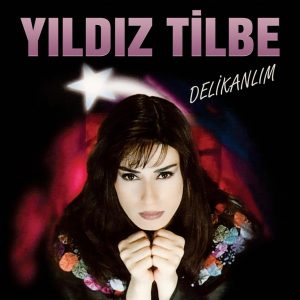 Yıldız Tilbe Delikanlım - Plak