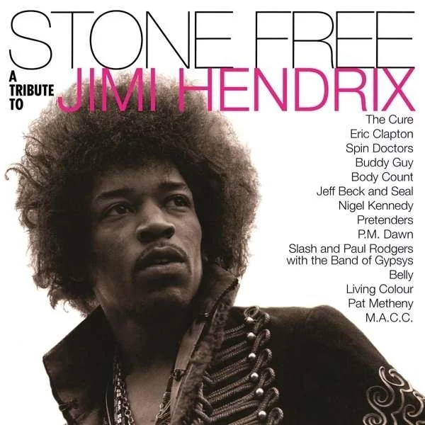 0000000687386-1.jpg A Tribute To Jimi Hendrix - Plak - Görsel 1
