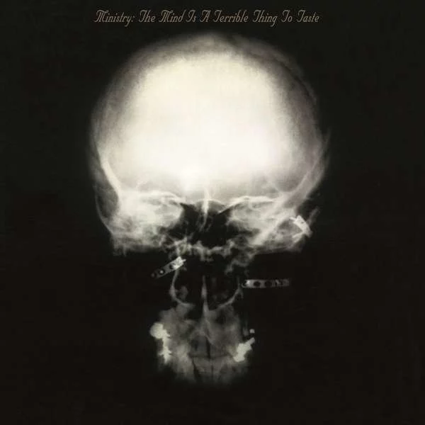 0000000687405-1.jpg Ministry The Mind Is A Terrible Thing To Taste - Plak - Görsel 1