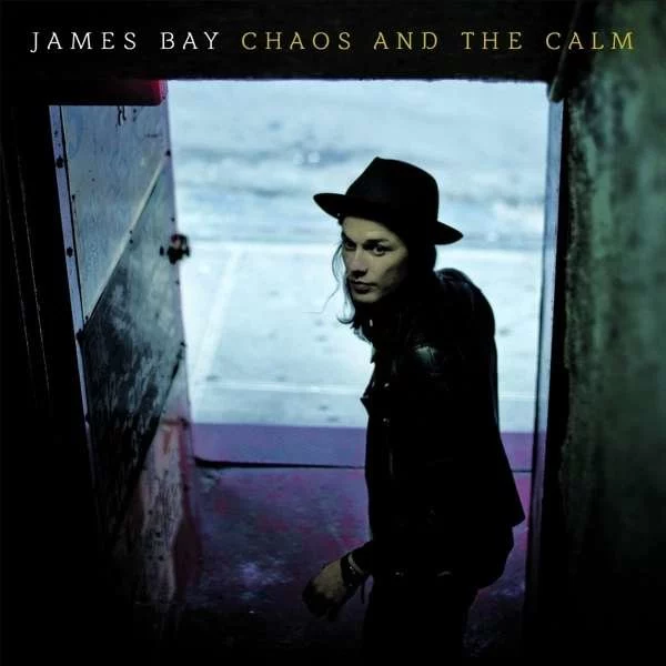 0000000691690-1.jpg James Bay Chaos And The Calm - Plak - Görsel 1