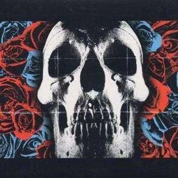 0000000703419-1.jpg Deftones - Plak - Görsel 1