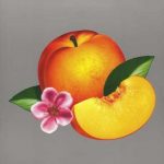 Phoenix Bankrupt! - Plak