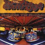 The Waterboys Room To Roam - Plak