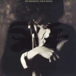 The Waterboys This is The Sea - Plak